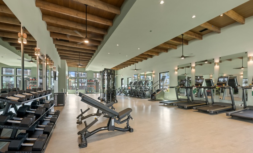 Wellness Studio